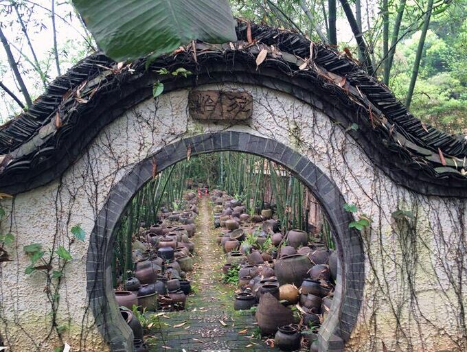 老木棉景区