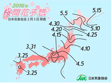 日本气象局2016年日本樱花盛开时间预测