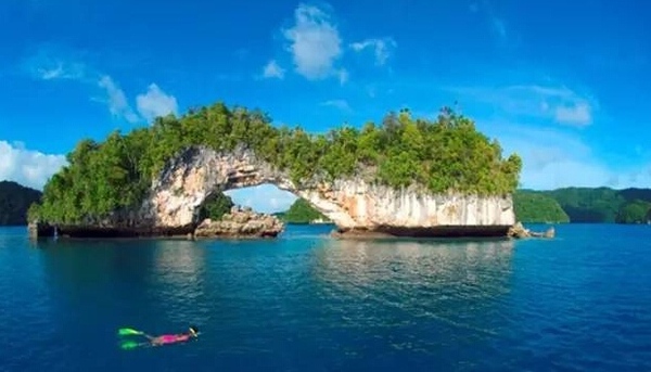 ����������