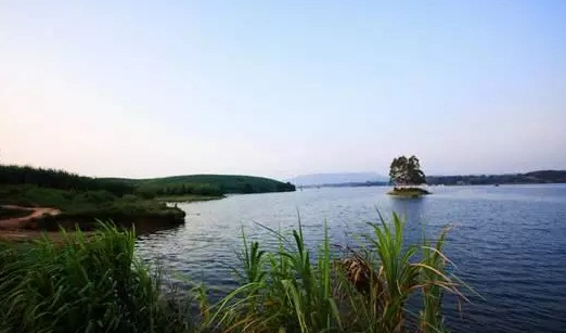 横县西津湖